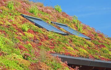Bottacks living roof systems