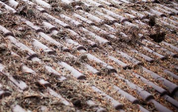 Bottacks roof cleaning companies