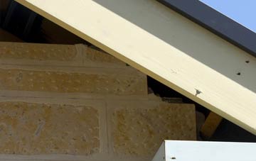 soffit repair Bottacks