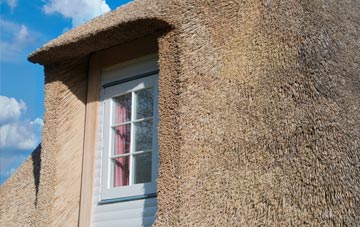 Bottacks thatch roof disadvantages